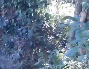 061516_hot_forest_blowjob_from_a_really_hot_blonde_then_fucking_back_at_the_apartment_cum_on_her_face